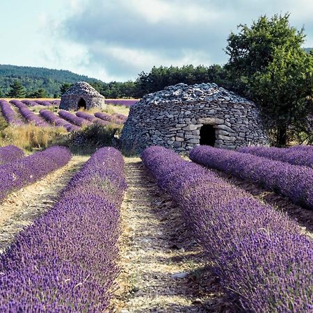 Le Cabanon Des Lavandes Entre Mont Ventoux Et Luberon Сол-де-Воклюз Екстериор снимка